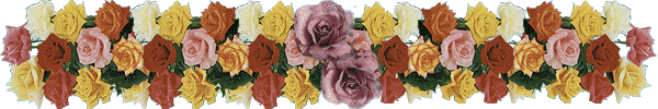 bouquet of flowers