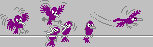 chattering birds