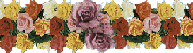 bouquet of flowers
